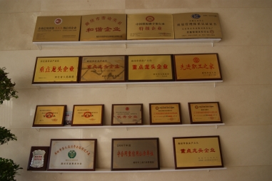 弘揚(yáng)傳統(tǒng)文化--五棵松一直在路上