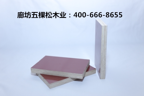 建筑模板施工應(yīng)用應(yīng)注意什么？