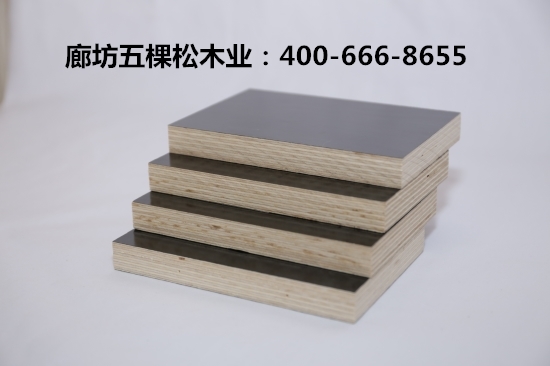 建筑模板行業(yè)隨著建筑業(yè)市場的深入迎來了新挑戰(zhàn)