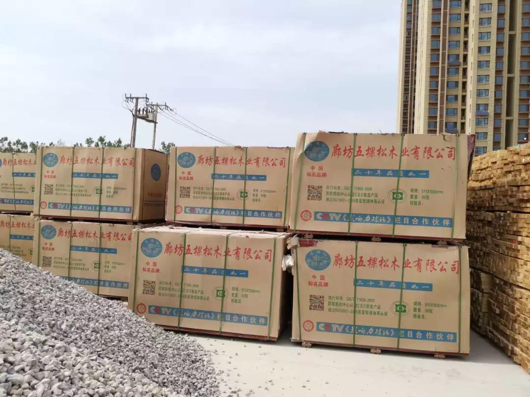 五棵松集團助力滄州新地標(biāo)---京貴大廈